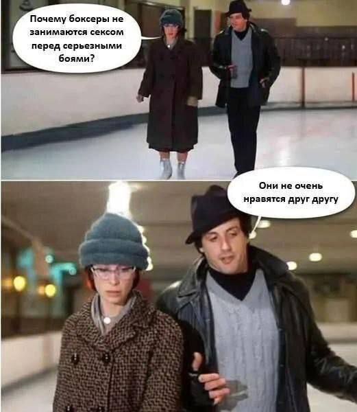 Боксеры