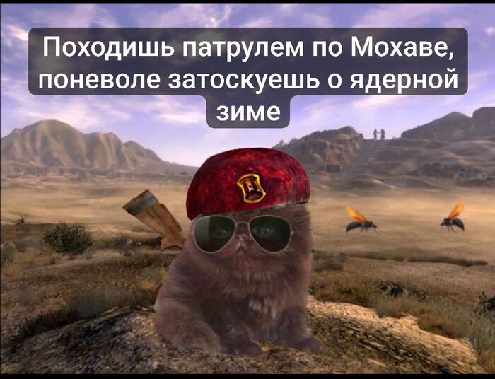 ���� ������ 15 ���