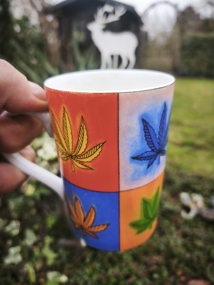 � ������ �����!