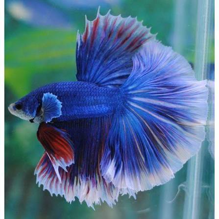 � ������� ������� ����� � ��������� �������� � �� ����� �����������. 