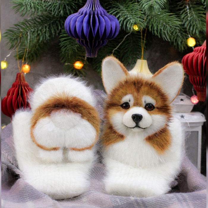 �������  �����