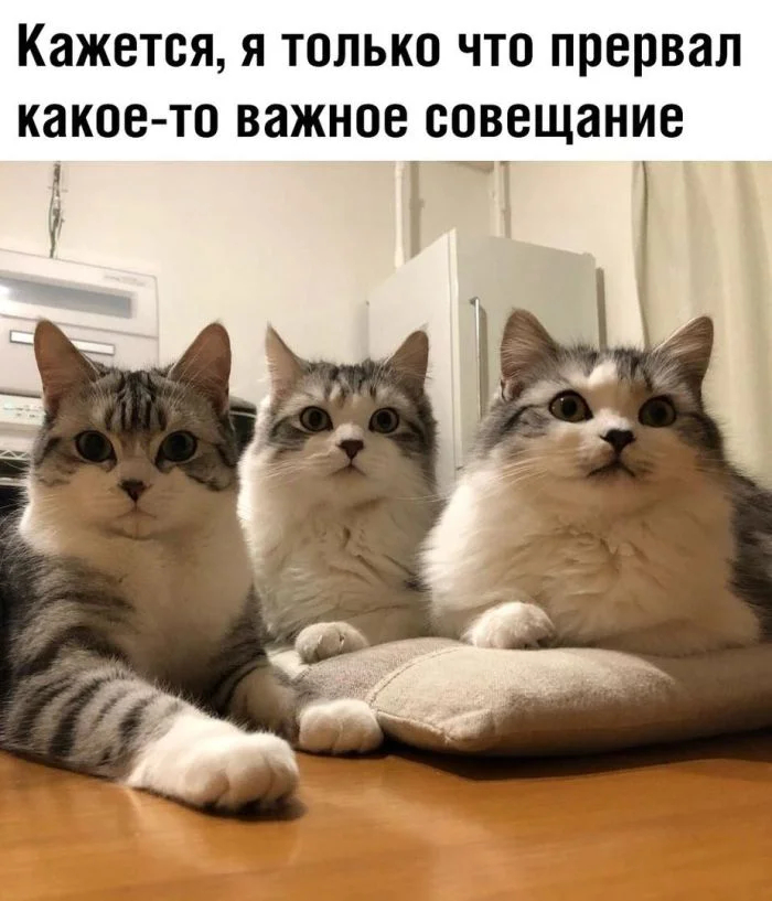 ������ ����������