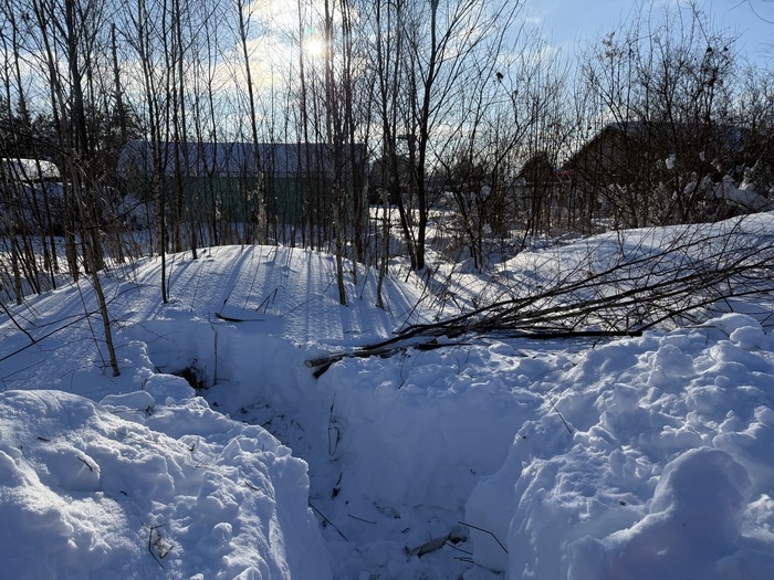 Немного прохода к поросли на участке, поспиливал ручной пилой