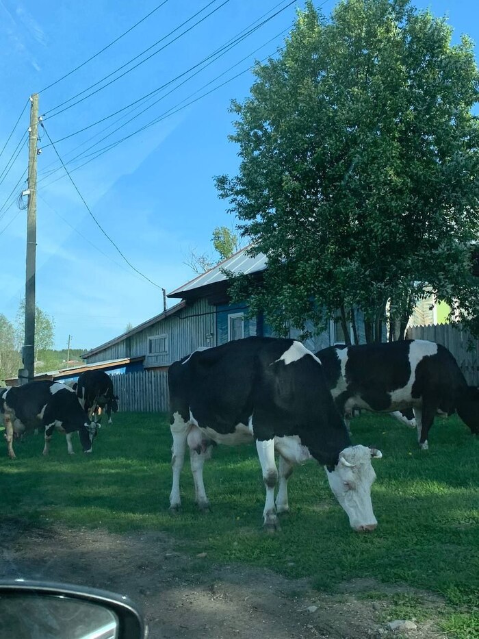 166 ���� ������� #132