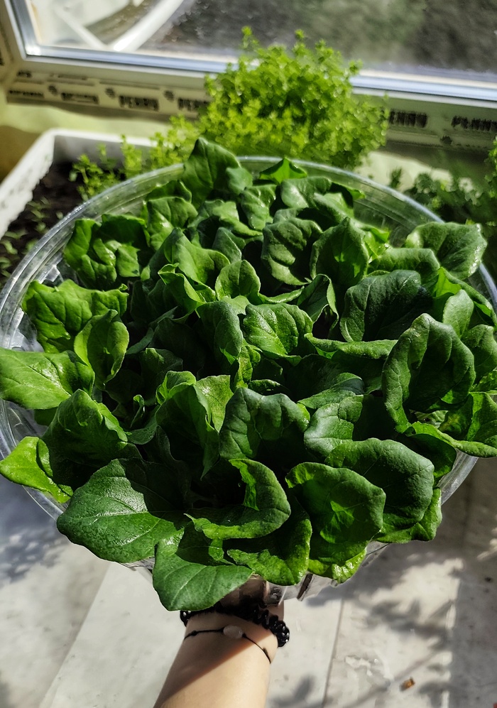 ��������� ������ � ���������