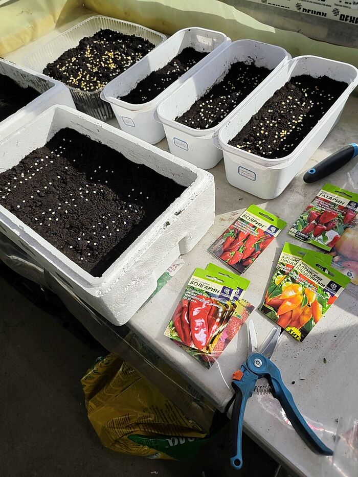 ����� �����