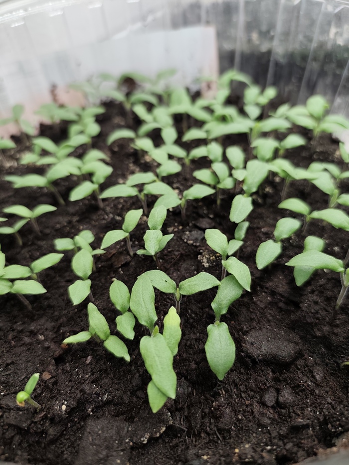 ��������� � ����� ��������� �� ������ ���������� ���� ���������. � ����� �������� ����� ��� ������ �����. �� ���� ������� �������, �� ����� ������������� �����