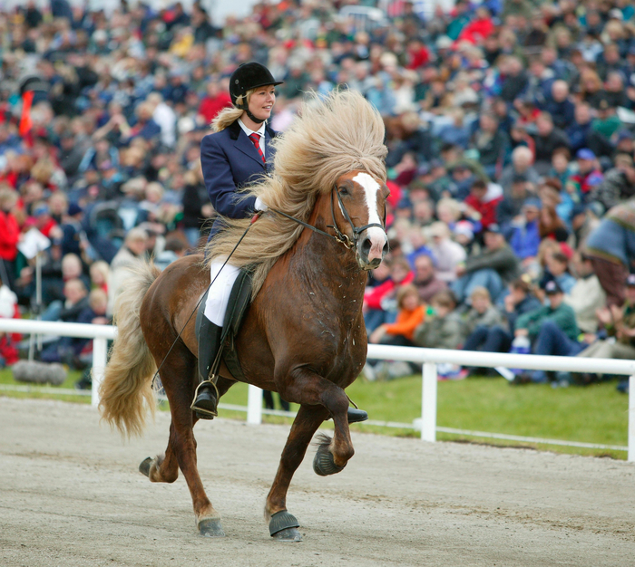 �� �������� ��������, ��� ��������� ������ ������ �� ������� ������ ������ ������ ������ �� ������ ����� ������� ������� ��������� ���������. �������� ������ ������������ �� ����, ��� ������� ����� ������ � ��������� �������