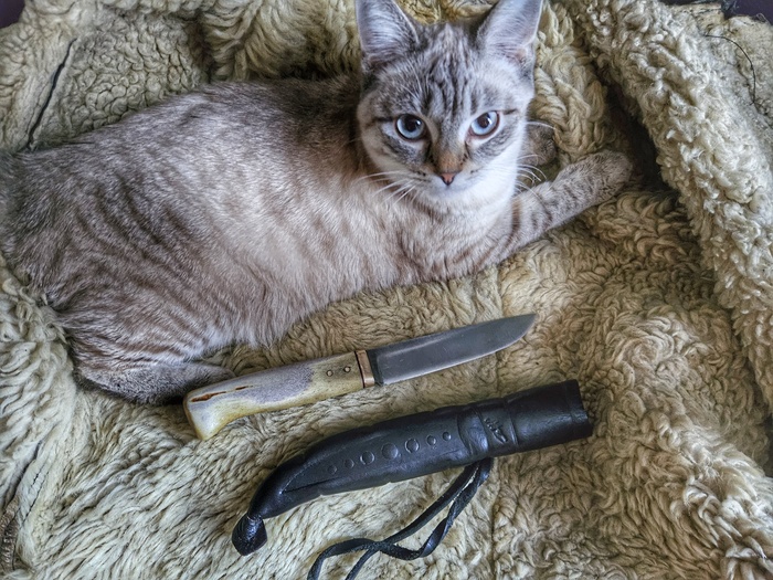 ��� � ����������