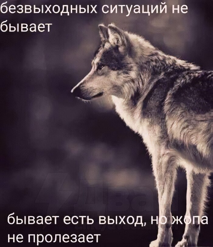 ��������????