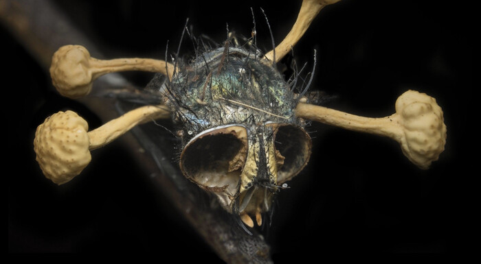 ���������. ����, ��������� �����. ���� �� ������?