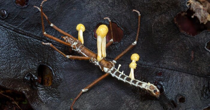 ���������. ����, ��������� �����. ���� �� ������?