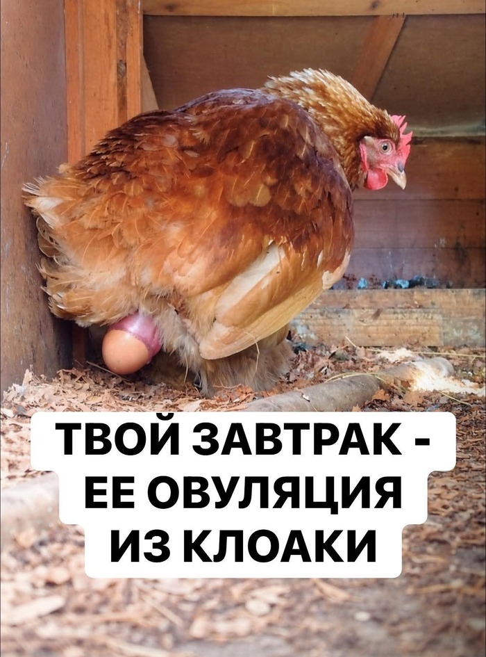 ���� ������� � � ��������