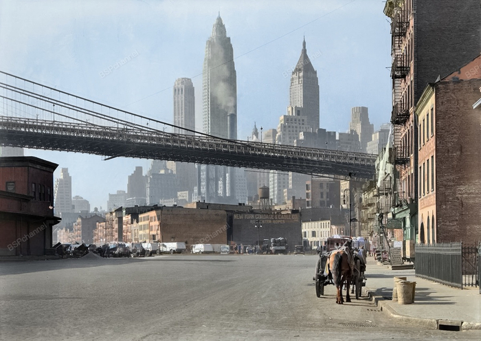 ��������: ������ �. ����