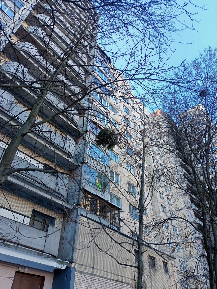 ���� ���������