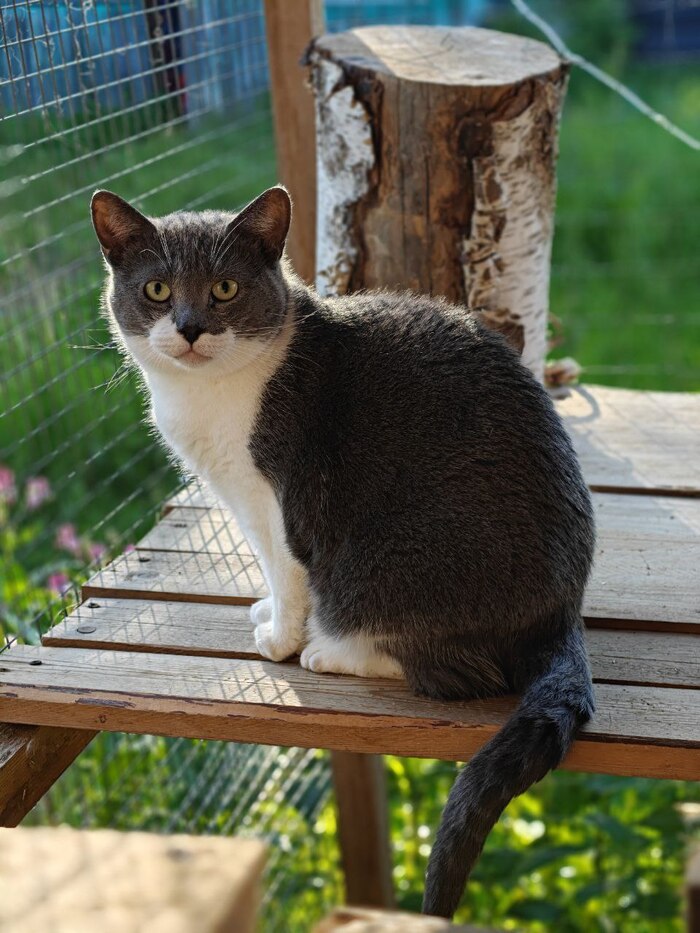 ������ ������� 