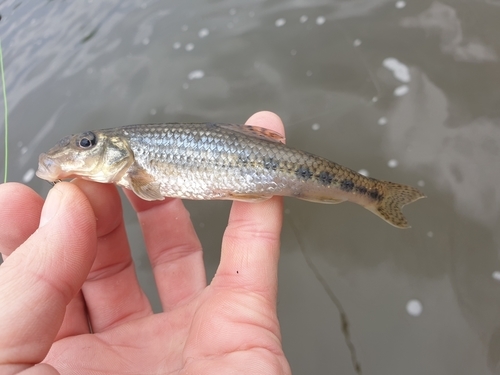 � � �� ������� � ������� ��� ����� ������ �����