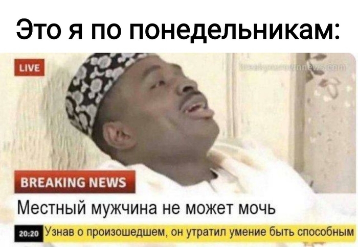 ����� ����� ���� �� ������