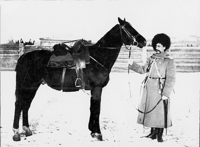 ������ 6-� ����� 2-�� �������������� ��������� ����� - ��������� ���������� ������ (����������� ��������� ������), 1894 ���