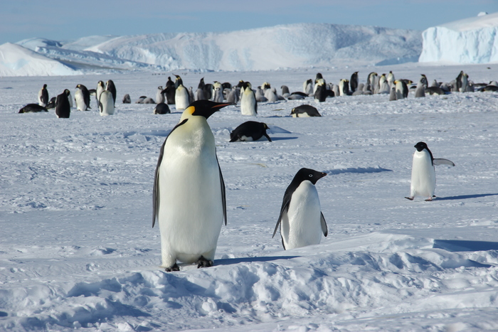 Что интересного, соседи?