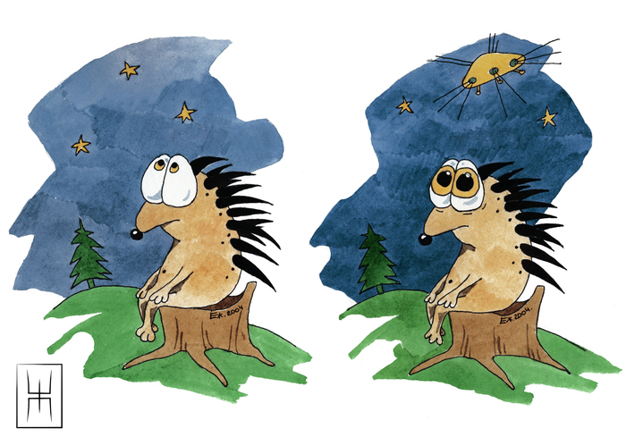 ��������, ������, ������.