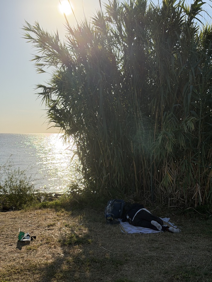 ������� ���� �� ���������