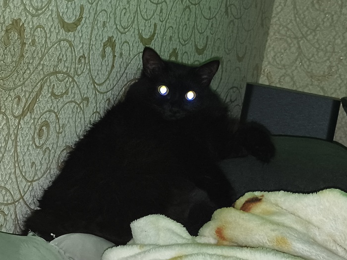 ������� ���� ���� � �������