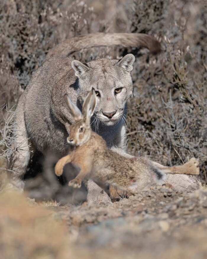 ���� � ����