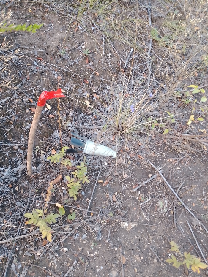 ���������� ��������