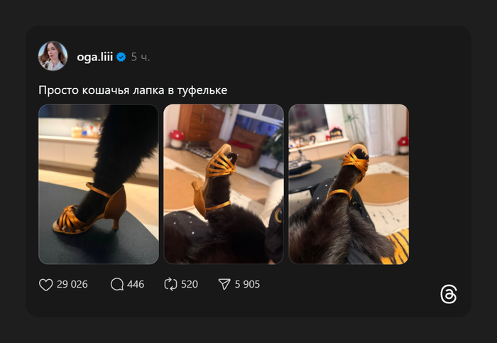 Это именно то, что вам нужно было сегодня увидеть