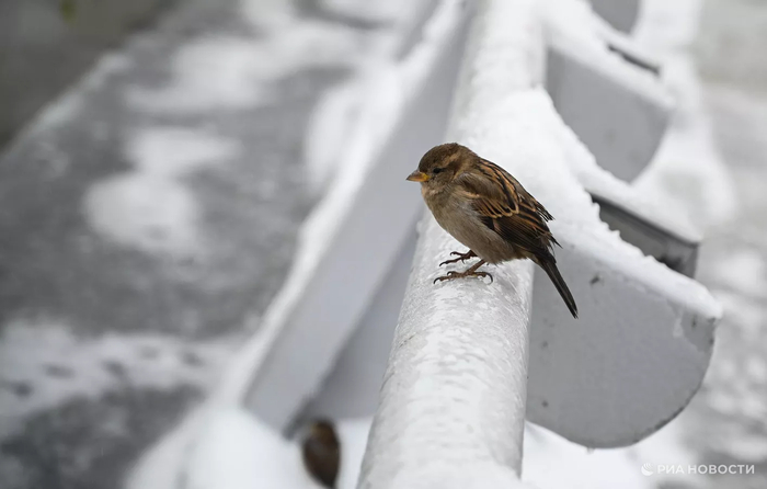 � ������ � ������� �������� �������� ��������