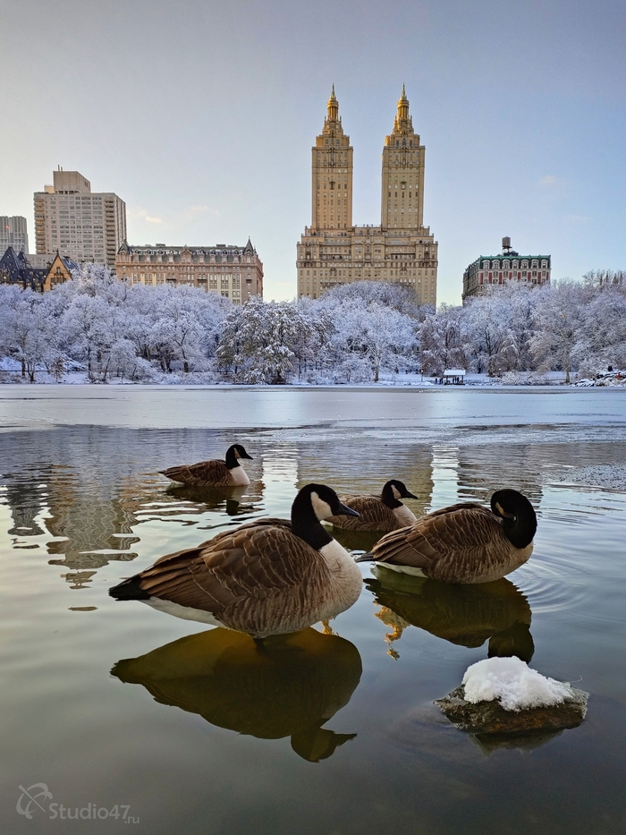 ����������� ����