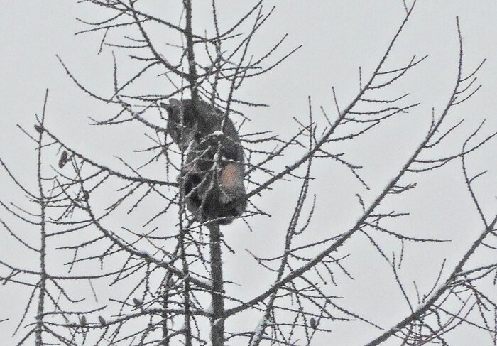 ������ �� ������ ��������