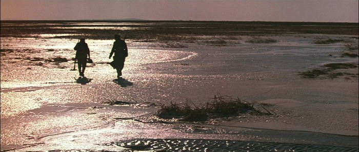 ���� �� ������ "����� �����"