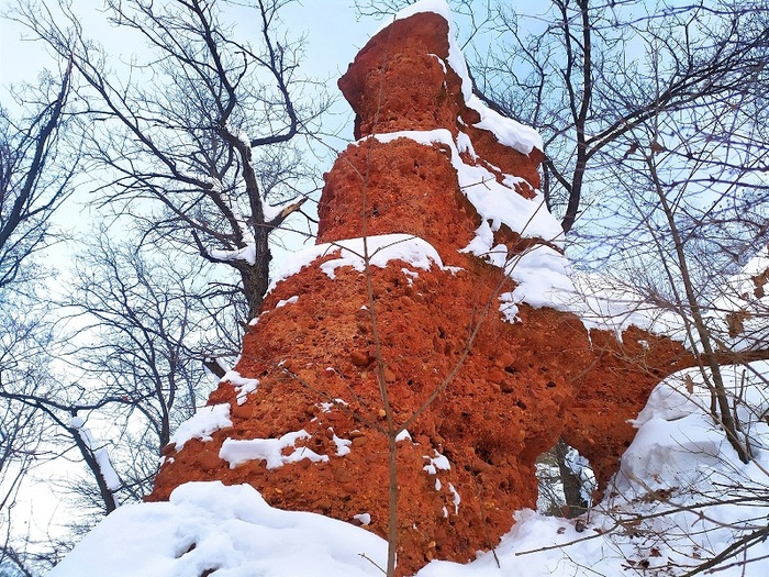 ����� ������� ���� ��������� (�������, ��������). ����: ����� ���������� ����� 