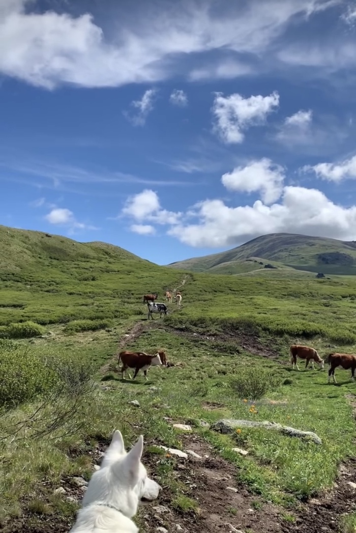 �������� ������� ����������� ��������� � ������ ����������� ��� ���� � �������� �������� ����� �� ������. �����, ���� ��� �������� �� ������ ������� � ��������� ��� �����. ��� �� �������-�� ����������!