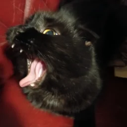 SmolaLo