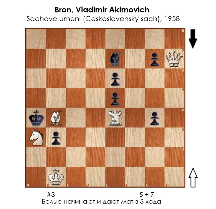 ������������ #238