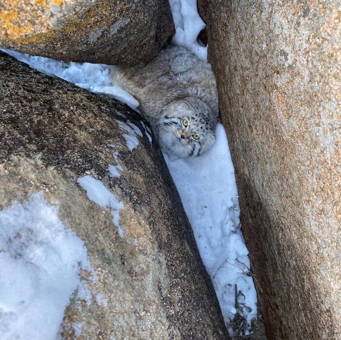 ���������!