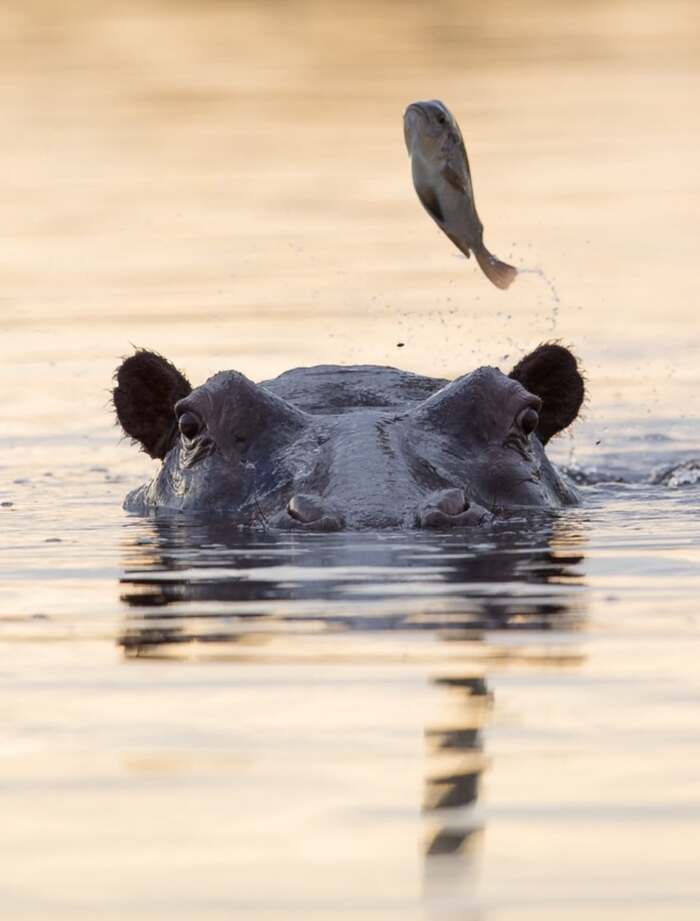 ��, ��������, �������� �� ����. �����, ��� �!