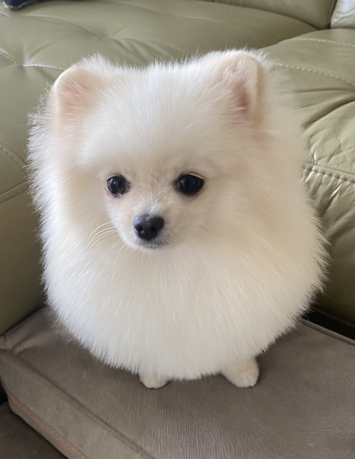 � ������, ����� ��������, ������ ������