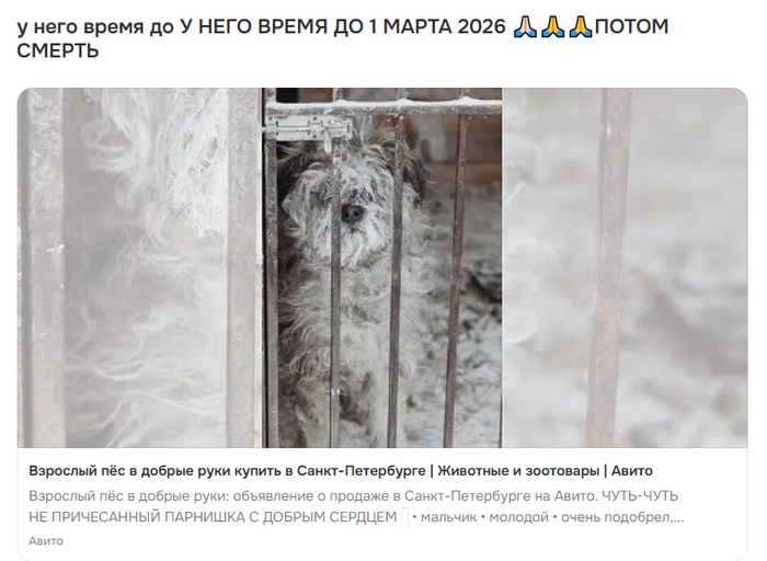 � ���� ����� �� � ���� ����� �� 1 ����� 2026 ����� ������