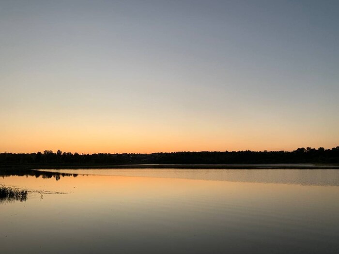 166 ���� ������� #136