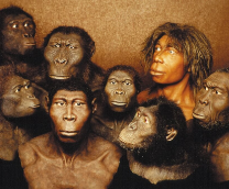 ���������� � ������������