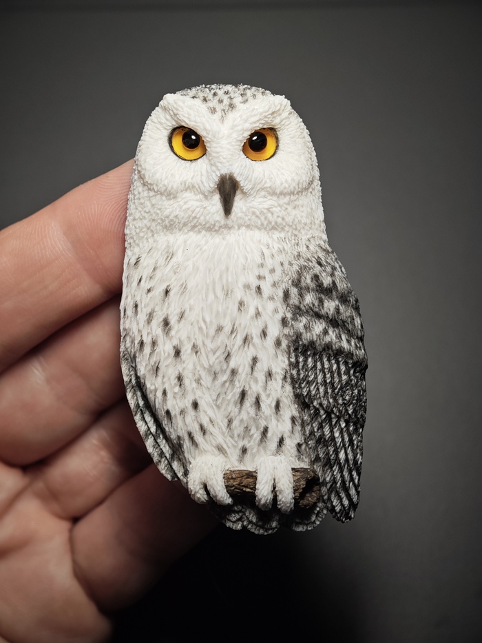 ��� �������� ���� ��������� �� ���������� ����� � ���� ����� � ��������� ����� ��������. 