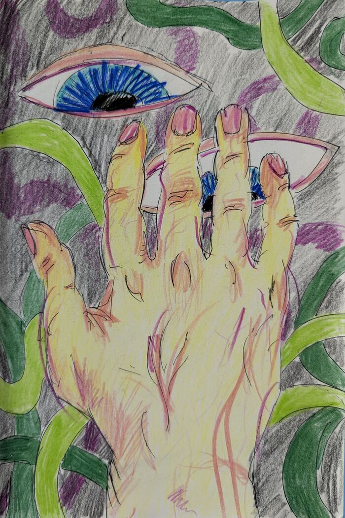 �����������