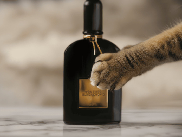 ������ ���� � ������� �� 14 ������� 2026: ������� ���-30 ������� �� ���� � ��������