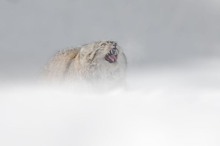 �������� �� ���������� ���� �������� ����� :