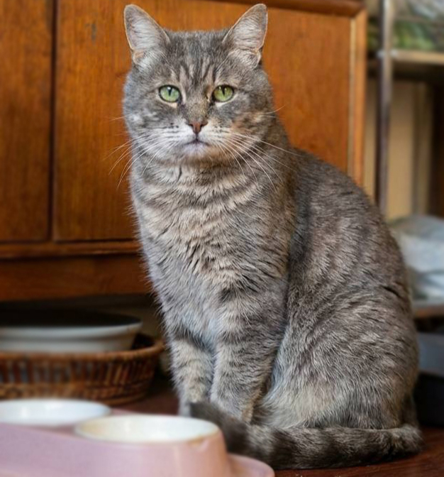 ��������� ���� ���� ���!