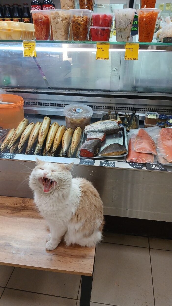 ������ �����